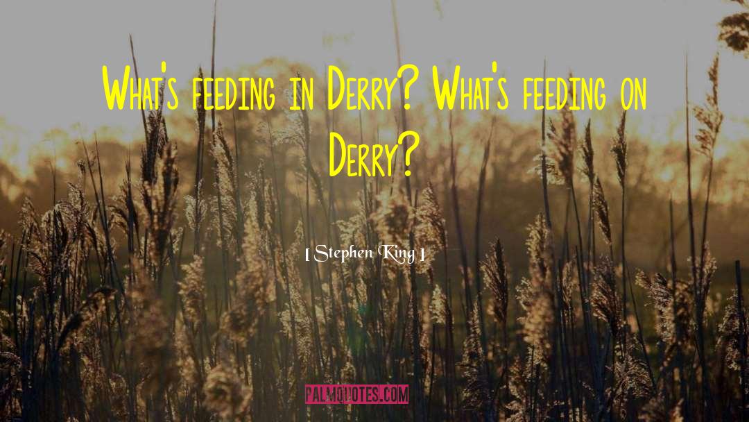 Derry quotes by Stephen King