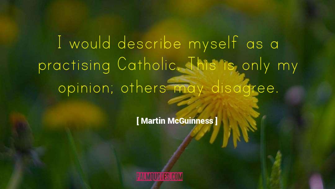 Describe Myself quotes by Martin McGuinness