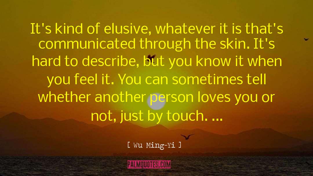 Describe Yourself quotes by Wu Ming-Yi