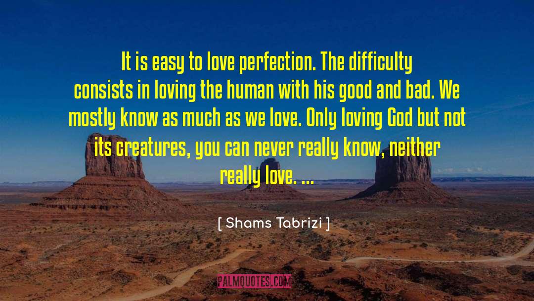 Describing Love quotes by Shams Tabrizi