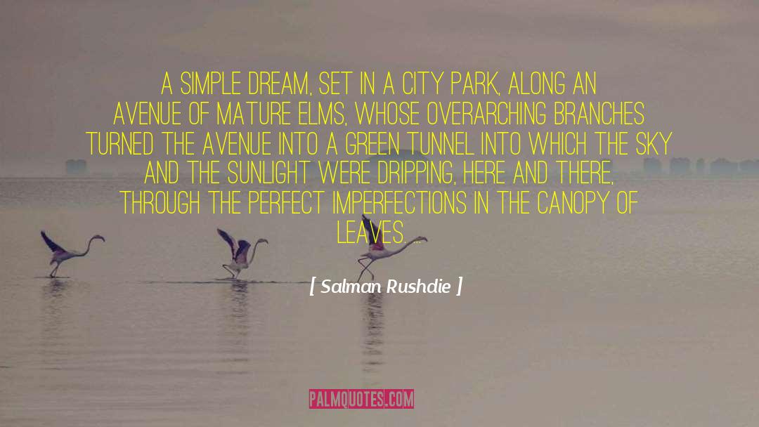 Descriptive Imagery quotes by Salman Rushdie