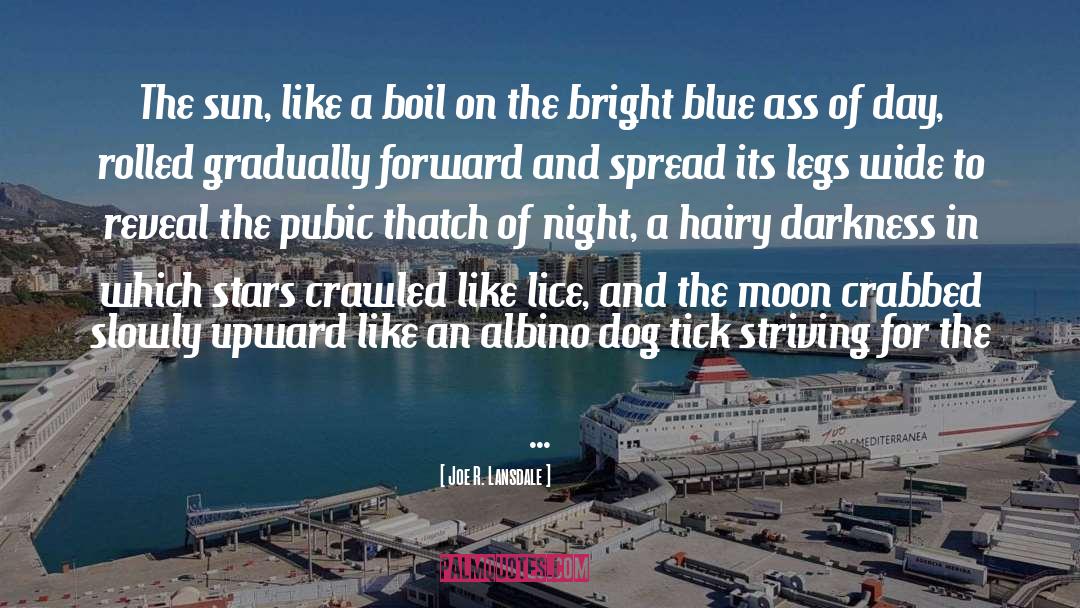 Descriptive Prose quotes by Joe R. Lansdale