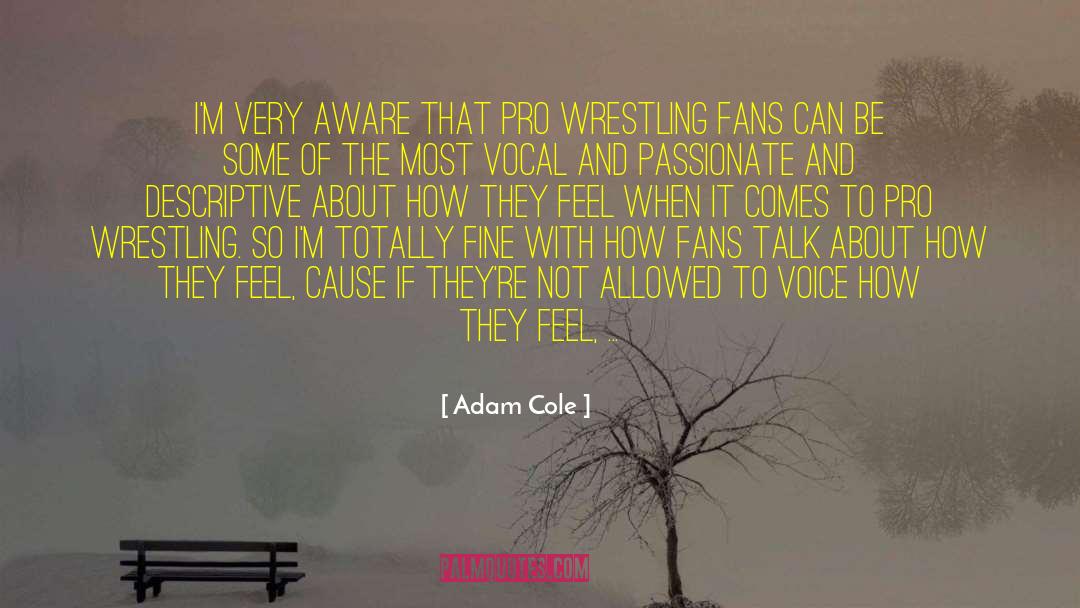Descriptive quotes by Adam Cole