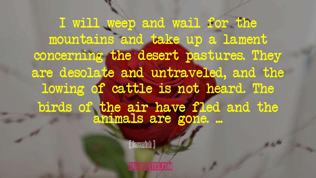 Desert Fantasy quotes by Jeremiah