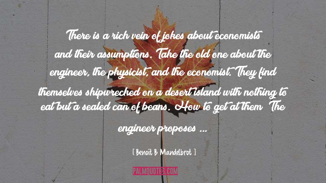 Desert Island quotes by Benoit B Mandelbrot