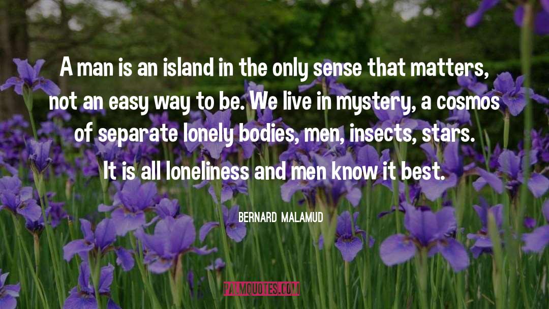 Desert Island quotes by Bernard Malamud