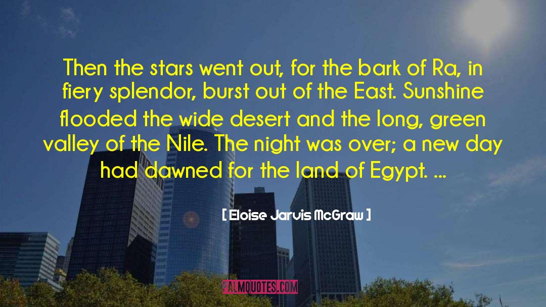 Desert Night Aladdin quotes by Eloise Jarvis McGraw