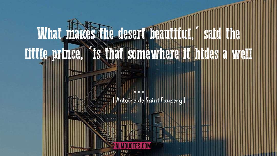 Desert quotes by Antoine De Saint Exupery