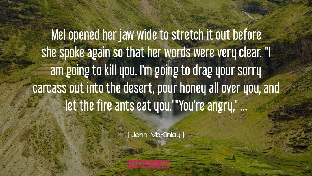 Desert quotes by Jenn McKinlay