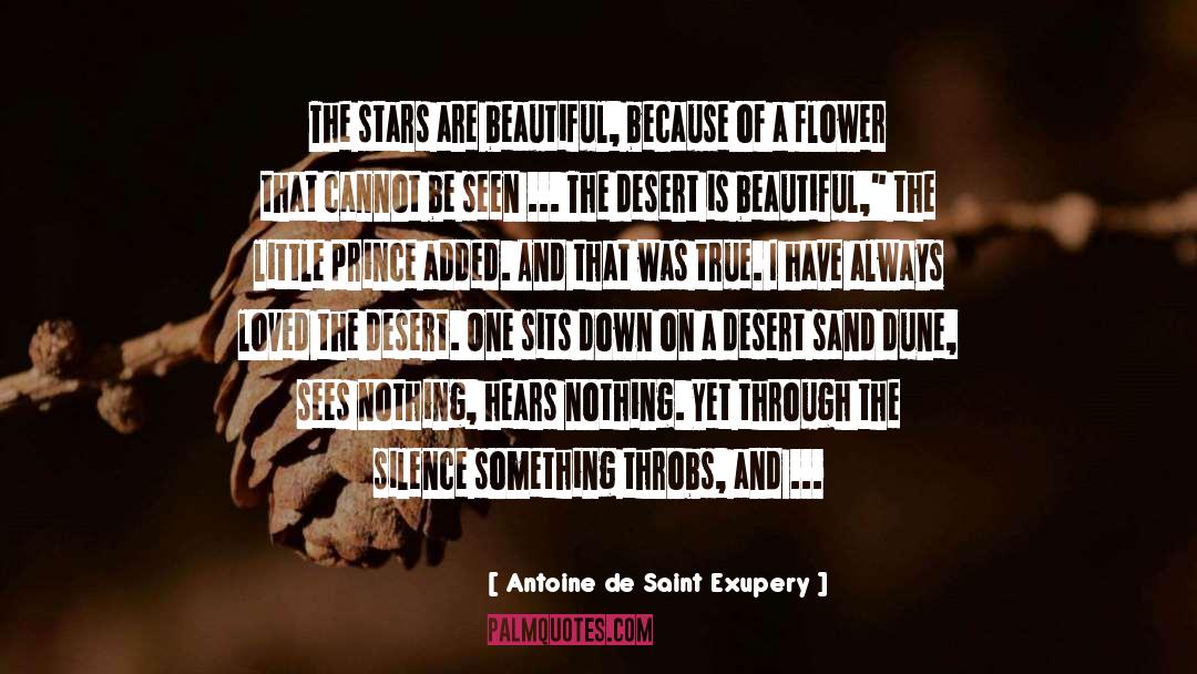 Desert Sand quotes by Antoine De Saint Exupery