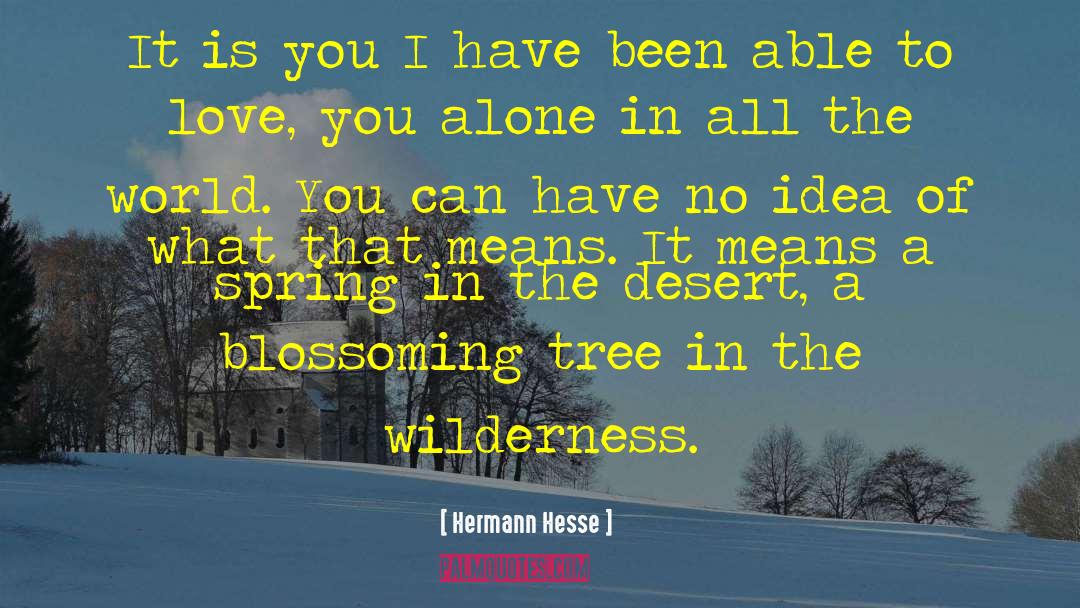 Desert Sand quotes by Hermann Hesse