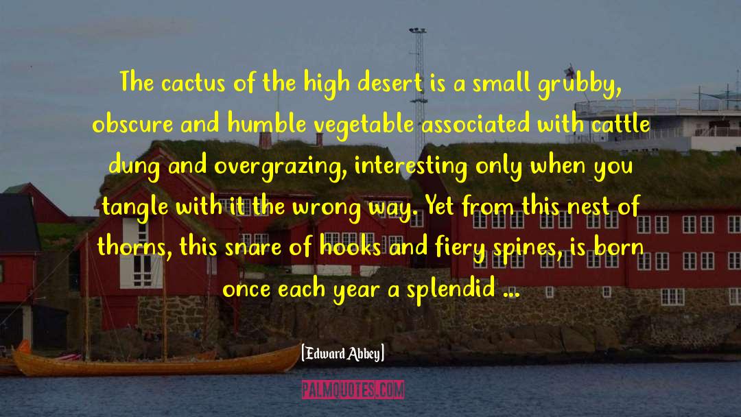 Desert Solitaire quotes by Edward Abbey