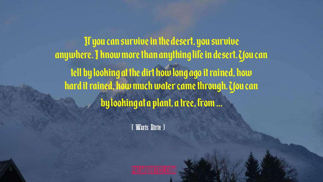 Desert Solitaire quotes by Waris Dirie