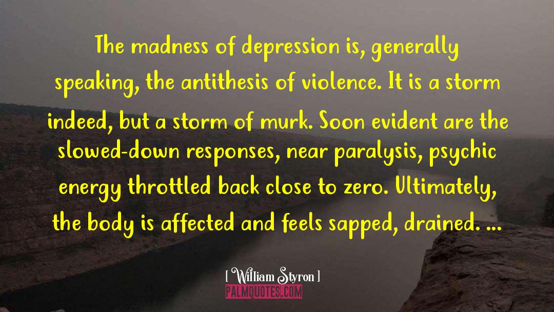 Desert Storm quotes by William Styron