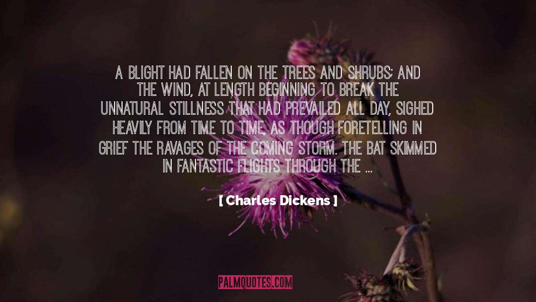 Desert Storm quotes by Charles Dickens