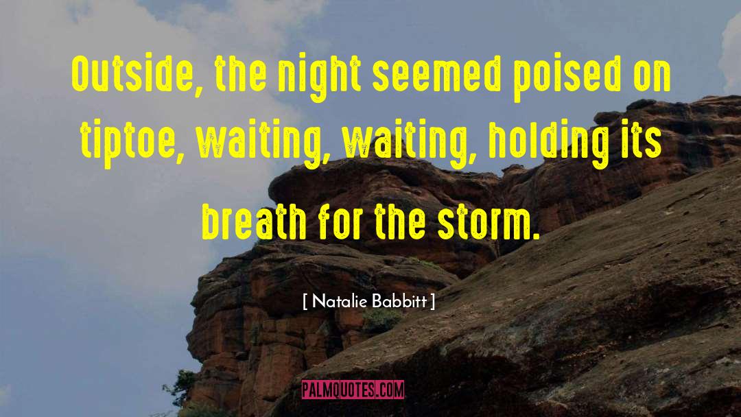 Desert Storm quotes by Natalie Babbitt