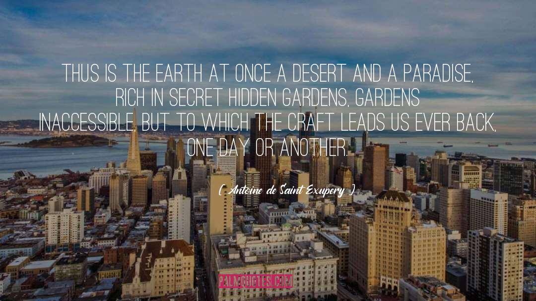 Desert Survival quotes by Antoine De Saint Exupery