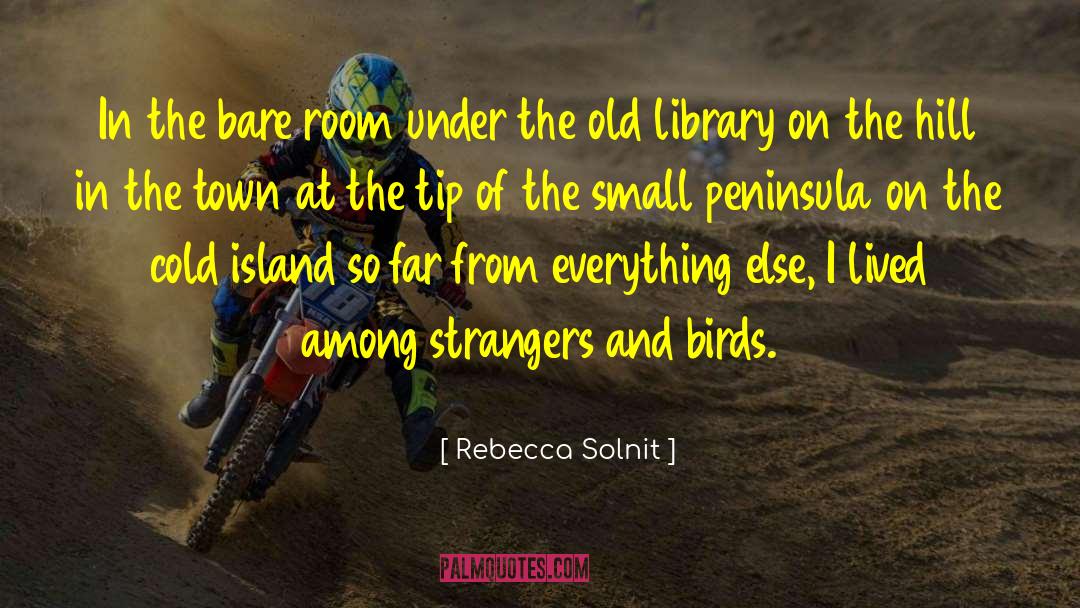 Deserted Island quotes by Rebecca Solnit