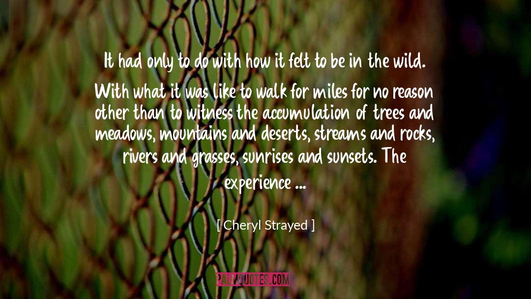 Deserts quotes by Cheryl Strayed
