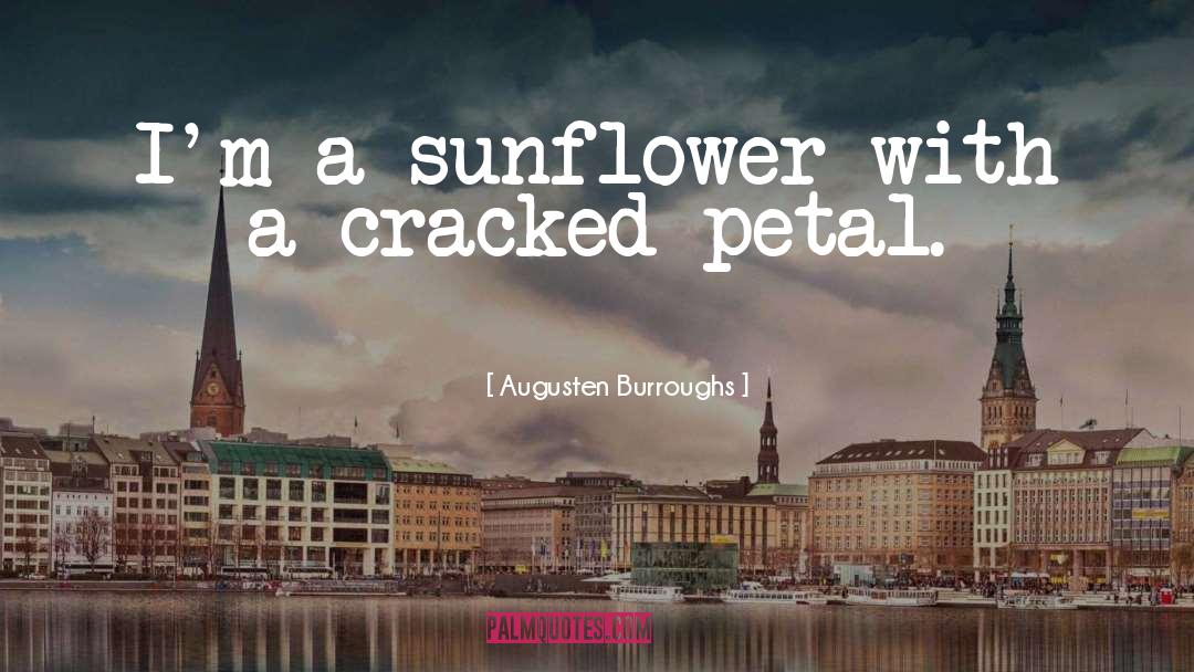 Deshell Sunflower quotes by Augusten Burroughs