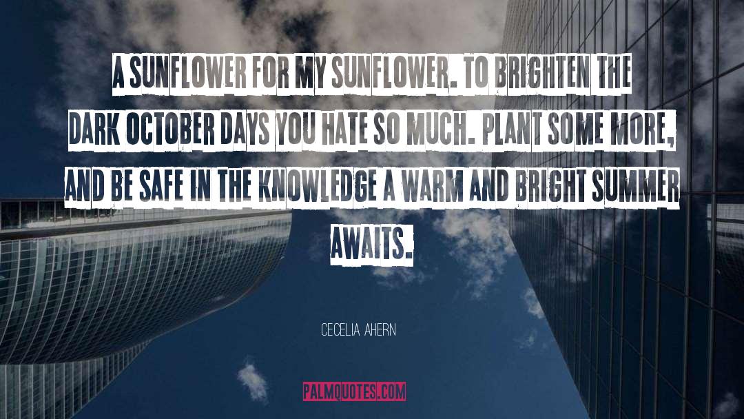 Deshell Sunflower quotes by Cecelia Ahern