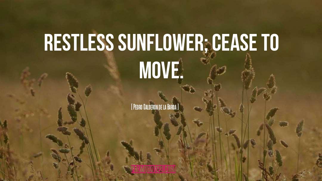 Deshell Sunflower quotes by Pedro Calderon De La Barca