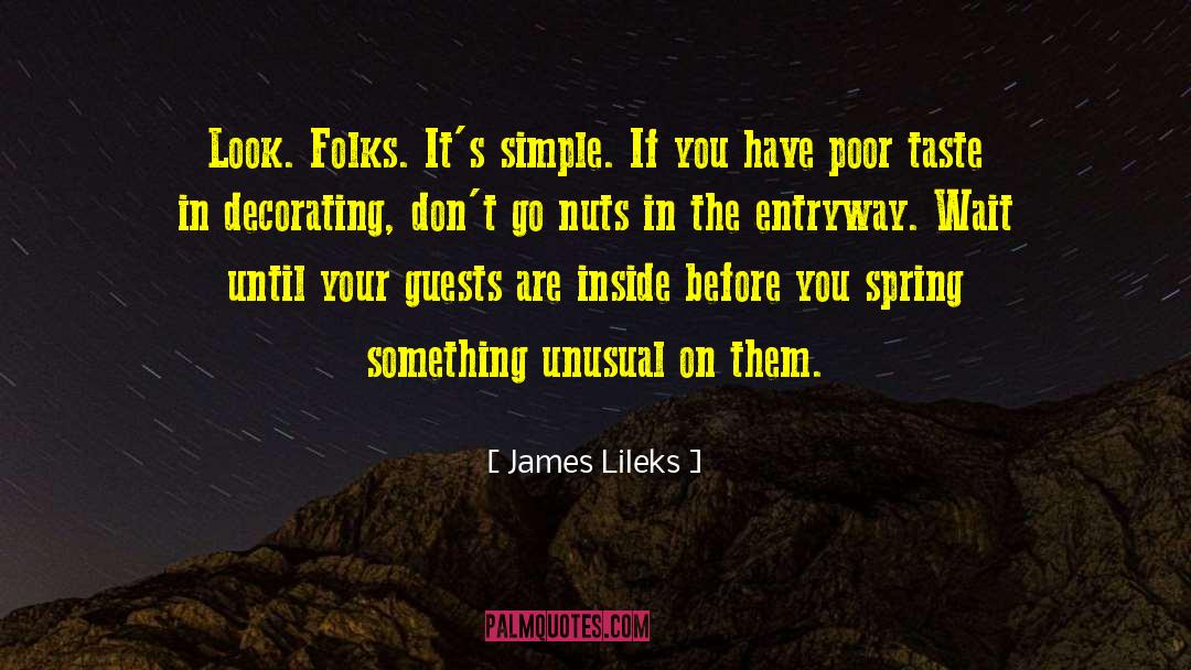 Design Theory quotes by James Lileks