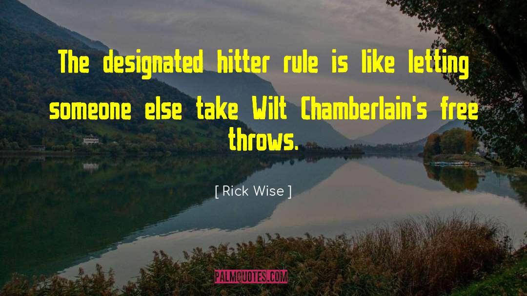 Designated Hitter quotes by Rick Wise