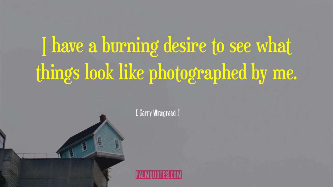Desire Burning Bright quotes by Garry Winogrand