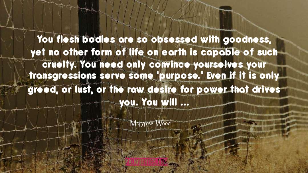 Desire For Power quotes by Maryrose Wood