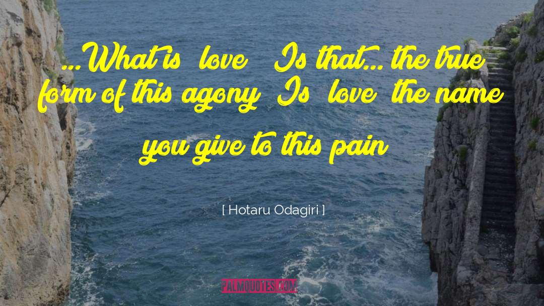 Desired Love quotes by Hotaru Odagiri
