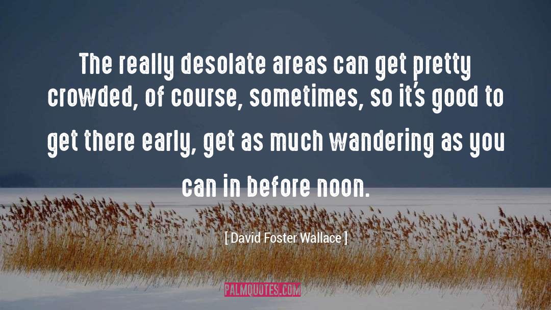Desolate quotes by David Foster Wallace
