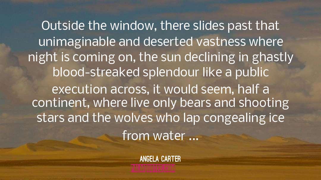 Desolate quotes by Angela Carter