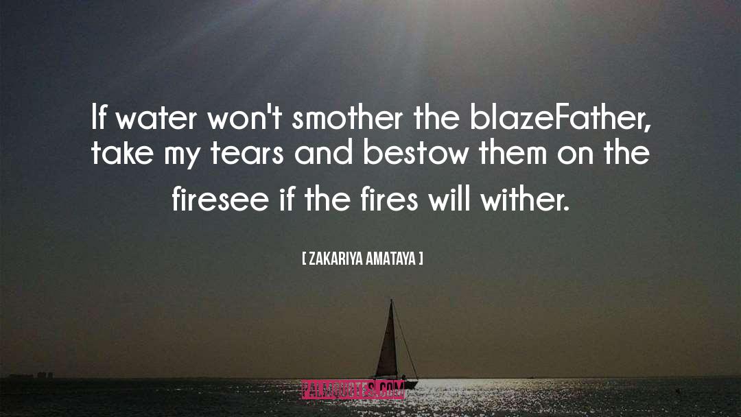 Desolating Fire quotes by Zakariya Amataya