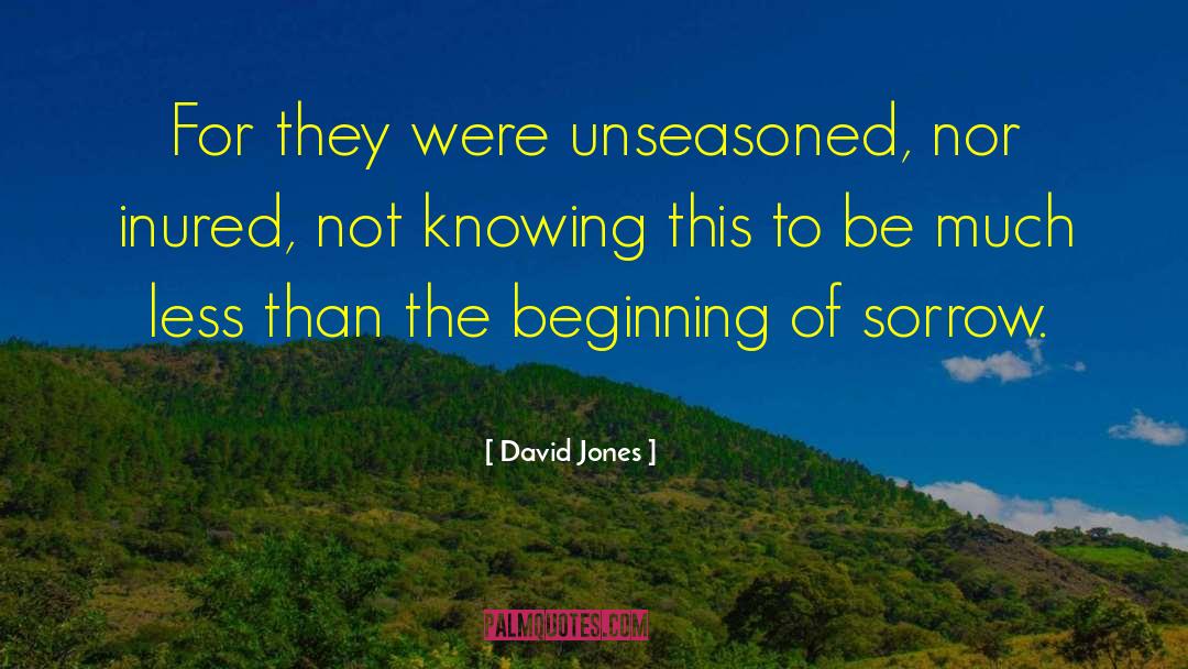 Desolation Jones quotes by David Jones