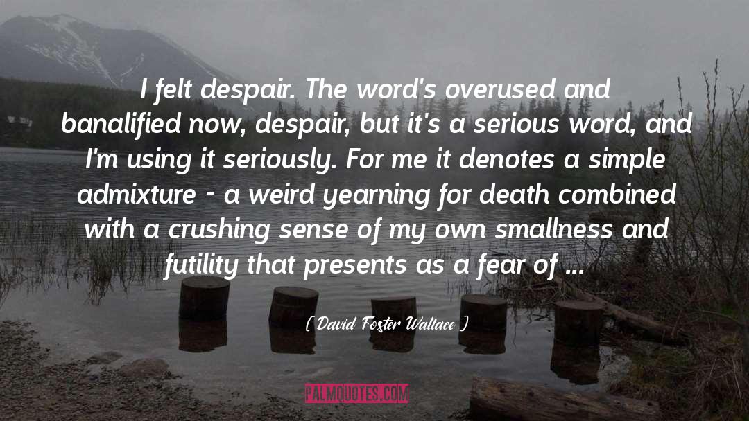 Despair And Attitude quotes by David Foster Wallace