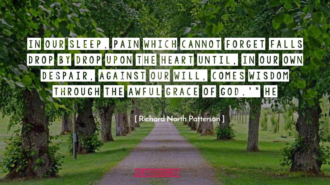 Despair quotes by Richard North Patterson