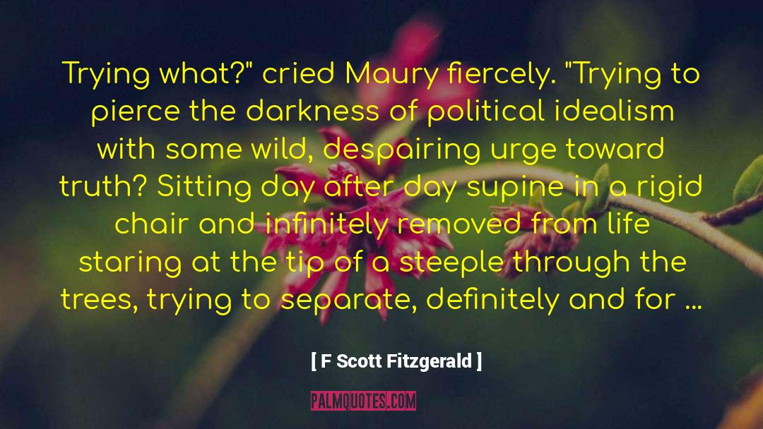 Despairing quotes by F Scott Fitzgerald