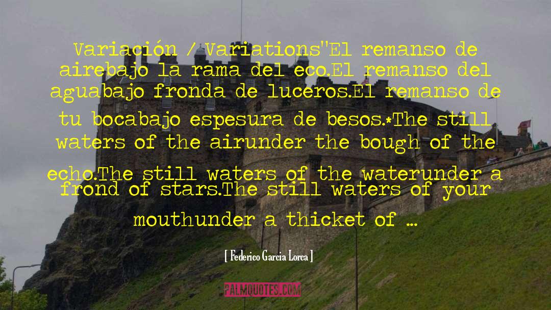 Desperdicio De Agua quotes by Federico Garcia Lorca