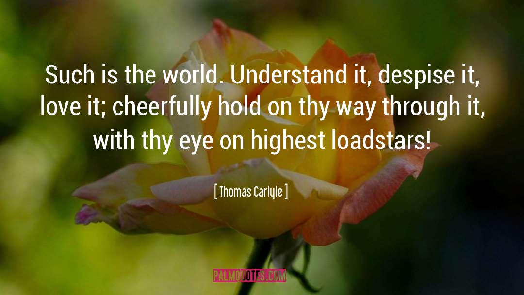 Despise quotes by Thomas Carlyle