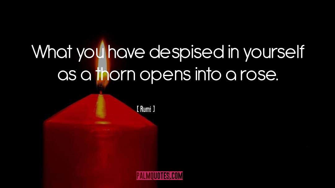 Despised quotes by Rumi