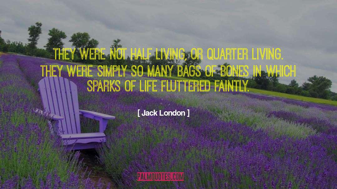 Destin Sparks quotes by Jack London