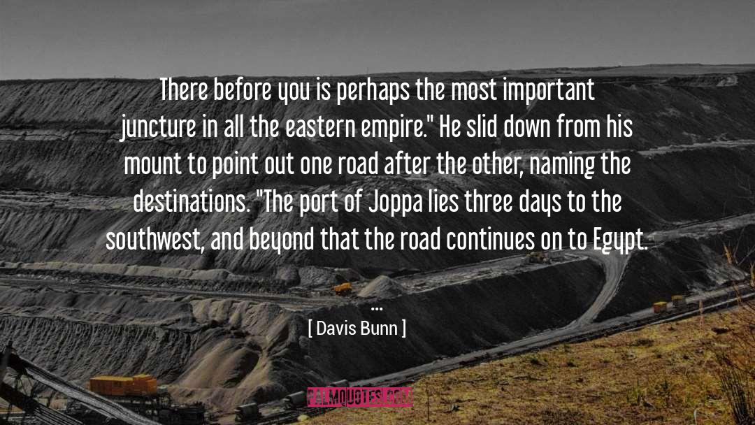 Destinations quotes by Davis Bunn