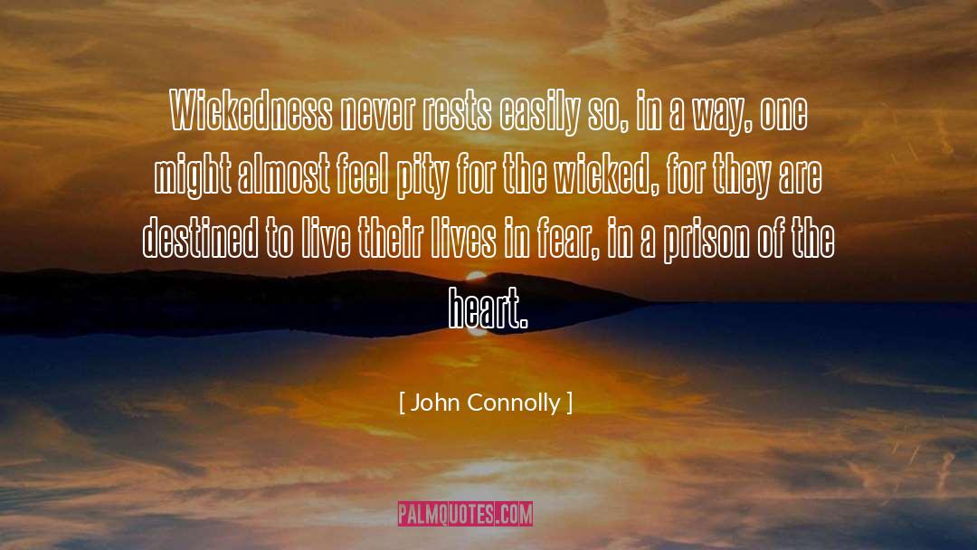 Destined For Success quotes by John Connolly