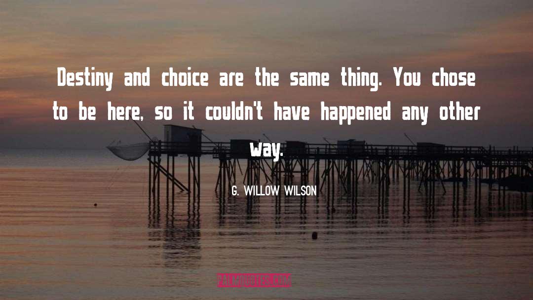 Destiny And Choice quotes by G. Willow Wilson