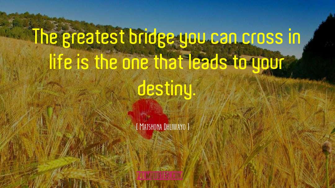Destiny Binds quotes by Matshona Dhliwayo