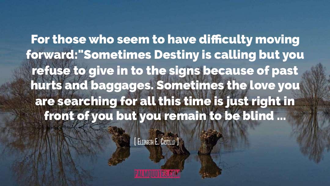 Destiny Chance quotes by Elizabeth E. Castillo