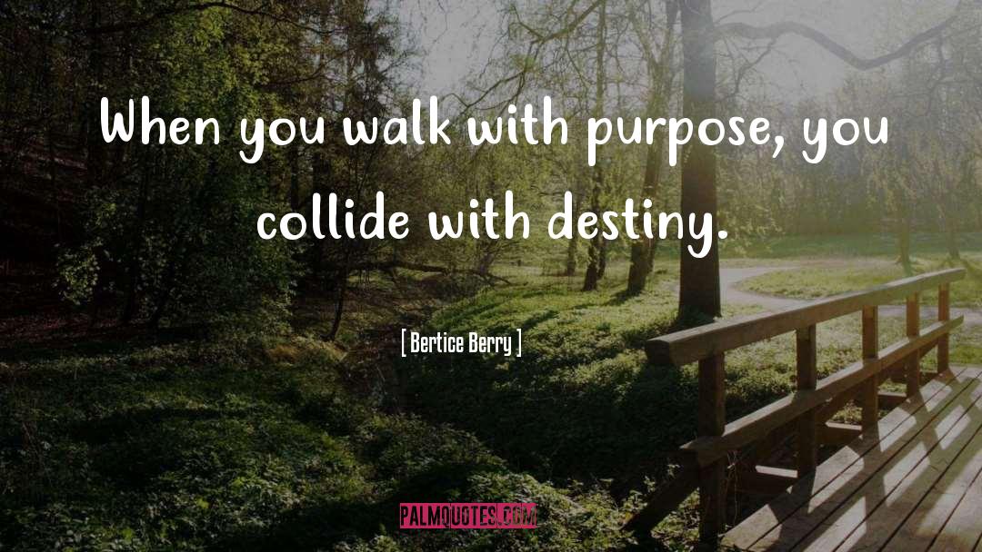 Destiny quotes by Bertice Berry