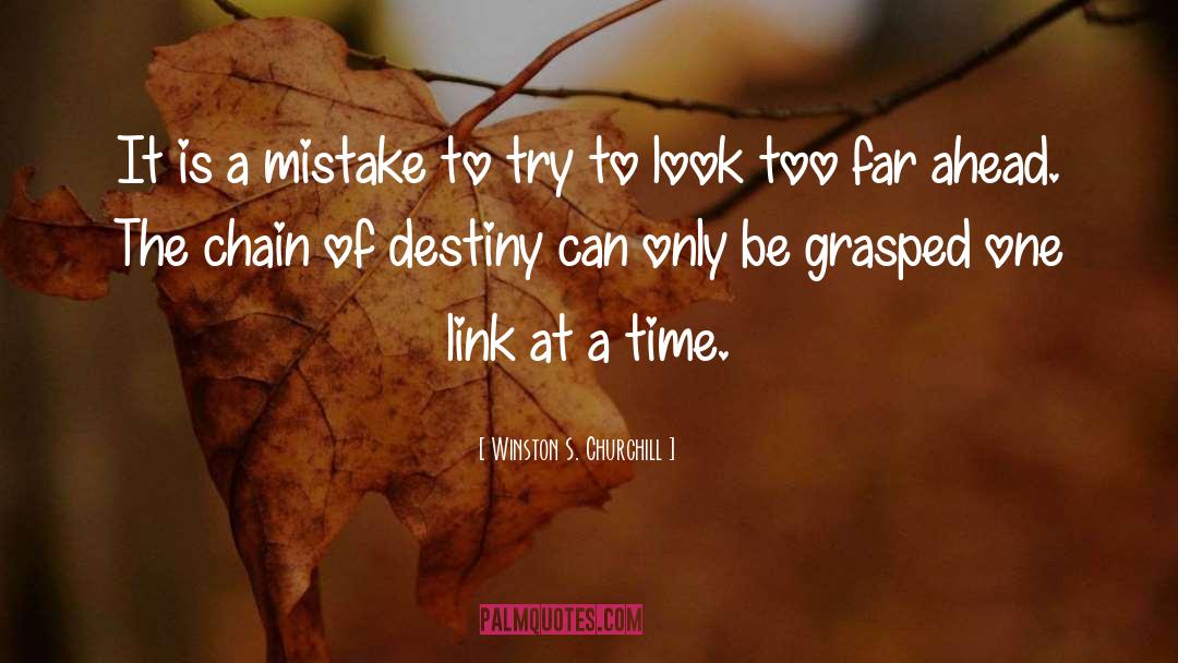 Destiny S Gate quotes by Winston S. Churchill