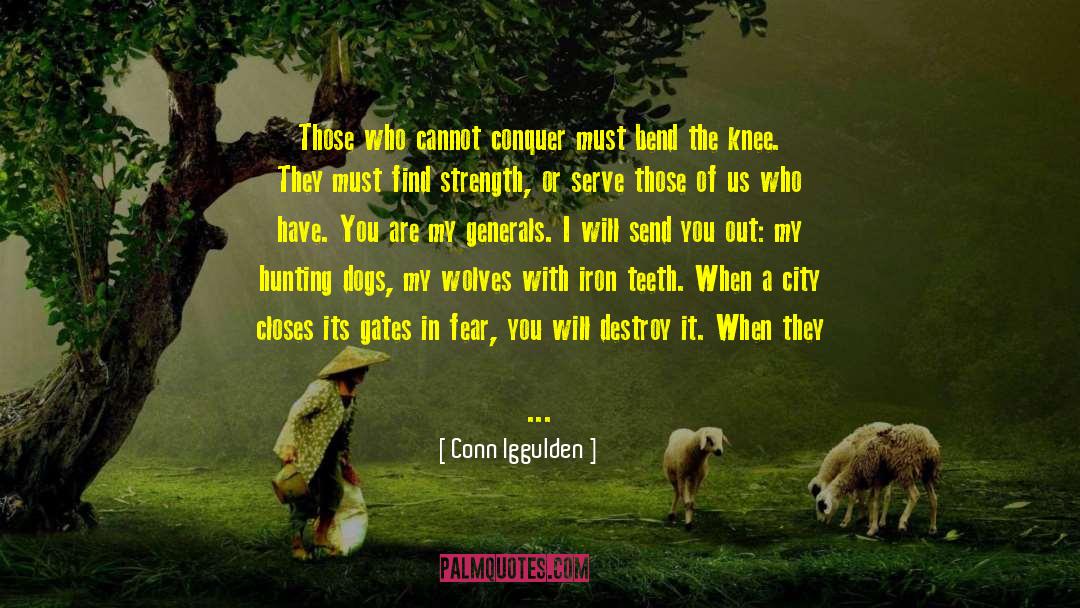 Destroy City Simulator quotes by Conn Iggulden